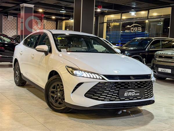 بي واي دي Qin Plus 2025 للبيع في العراق - دهوك